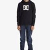 DC SHOES Dc Star - Hoodie - Black -kinderkledingwinkel 09528c878932463cbbacab417e3a7bfd
