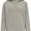 Hummel Hmlred Classic - Hoodie - Grey Melange -kinderkledingwinkel 1c672cb9eec848cc871fca5f5d9a043c
