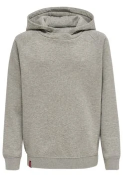 Hummel Hmlred Classic - Hoodie - Grey Melange