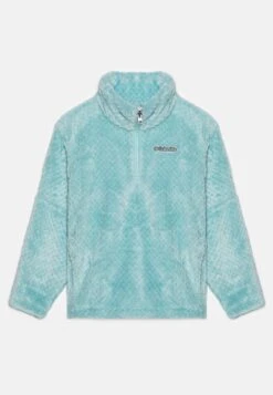 Columbia Fire Side Half Zip Unisex - Fleece Trui - Aqua Haze