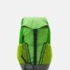 VAUDE Puck Unisex - Rugzak - Apple -kinderkledingwinkel 8fc6b4fa722745e094c037028935e18f