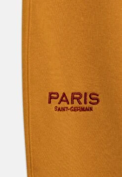 Nike Performance Paris St Germain Clubft Pant Unisex - Fanartikel - Gold Suede/Team Red -kinderkledingwinkel 9f202f05c52b491a8567789c7677c5b2