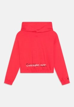 Calvin Klein Jeans Hero Logo- Hoodie - Teaberry