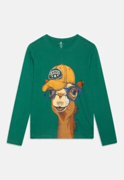 NAME IT Nkmlavs - Longsleeve - Fir