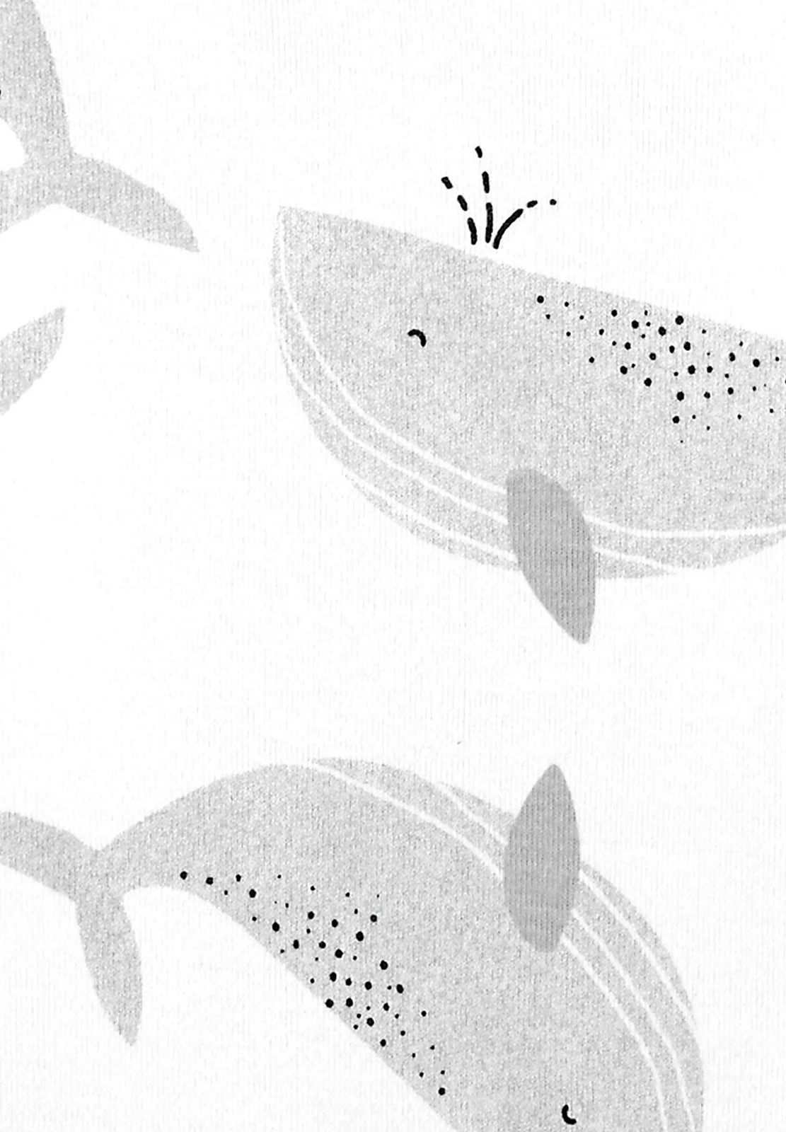 Carter's™ 5Er Pack - Body - Mehrfarbig 4 Carter's™ 5Er Pack - Body - Mehrfarbig - Afbeelding 2